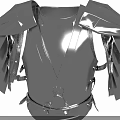Medieval Black Armor Featuring Sturdy Shoulder Plates And Chest Plate Design