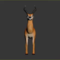 Orange Antelope With Black Horns White Face Standing On Gray Background