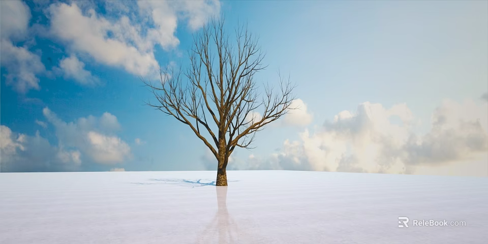Bare Arbor Standing on Snowy Ground With Blue Sky White Clouds and Reflection 3d model