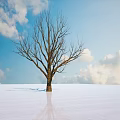 Bare Arbor Standing on Snowy Ground With Blue Sky White Clouds and Reflection 3d model