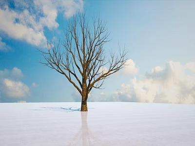 Bare Arbor Standing on Snowy Ground With Blue Sky White Clouds and Reflection 3d model
