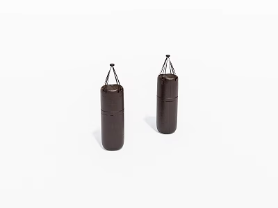 Two Brown Hanging Punching Bags For Boxing Training Equipment 3d model