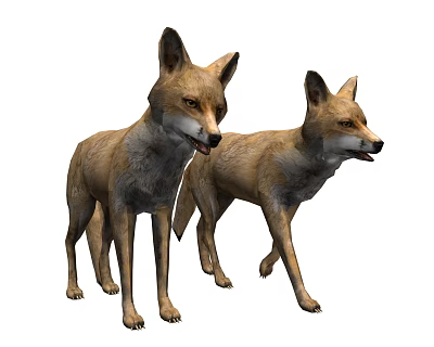 Modern Dogs Walk Dogs 3d model