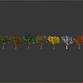 Colorful Trees Displaying Green Yellow Red and Bare Branches on Gray Background