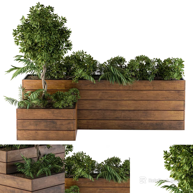 Lush Green Bonsai Potted Plants in Rustic Wooden Planters for Home Decor 3d model 