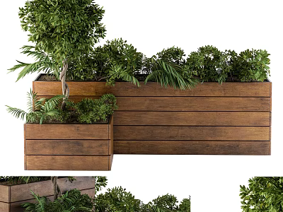 Lush Green Bonsai Potted Plants in Rustic Wooden Planters for Home Decor 3d model