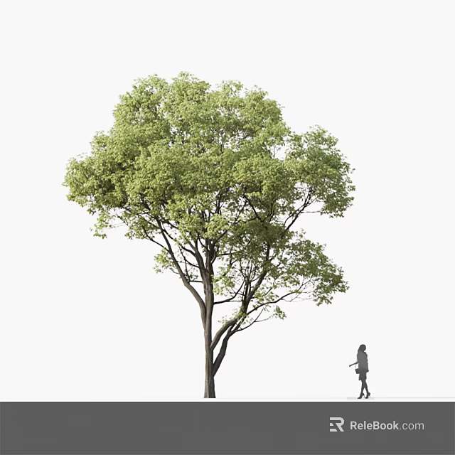 Lush Green Arbor with Dense Foliage Strong Trunk and Person Walking Nearby 3d model 