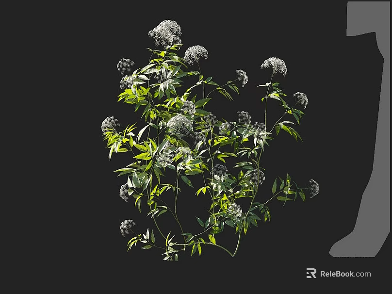 Fresh White Flower Blooms With Lush Green Leaves And Natural Plant Branches 3d model 
