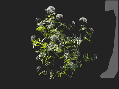 Fresh White Flower Blooms With Lush Green Leaves And Natural Plant Branches 3d model