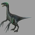Realistic 3D Dinosaur Model With Long Neck Slender Body And Large Claws