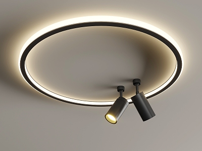 Simple creative ceiling lamp 3d model