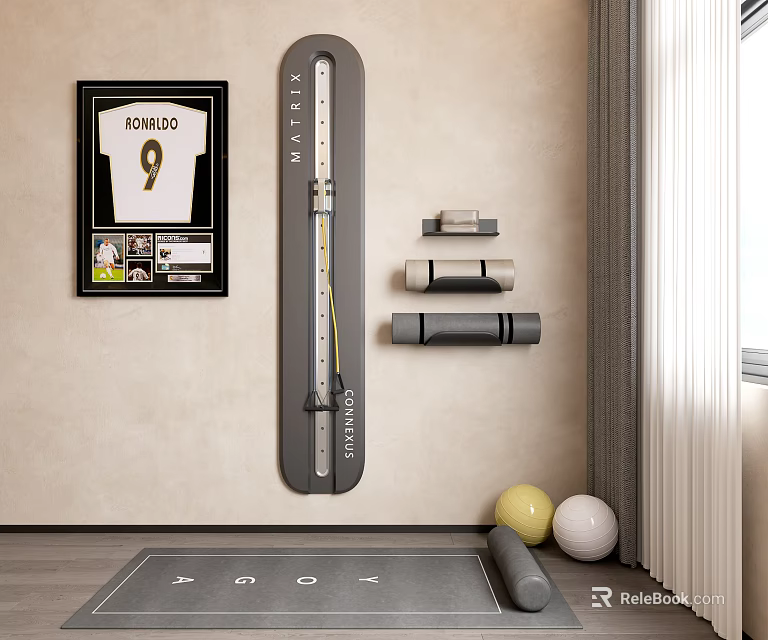 Home Gym Setup With Vertical Steel Trainer Dumbbells Fitness Balls And Yoga Mat 3d model 