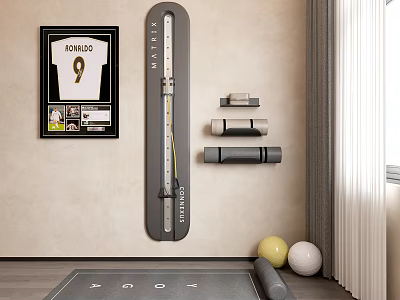 Home Gym Setup With Vertical Steel Trainer Dumbbells Fitness Balls And Yoga Mat 3d model