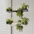 Modern Hanging Chandelier With Layered Plant Shelves And Cascading Greenery