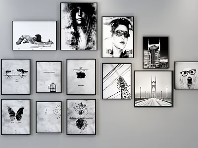 Black And White Framed Wall Art With Various Themes For Home Gallery Decor 3d model