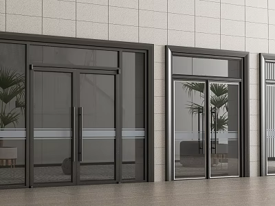 Double Doors With Glass Material Black Frame Gray Tile Wall And Green Plants 3d model