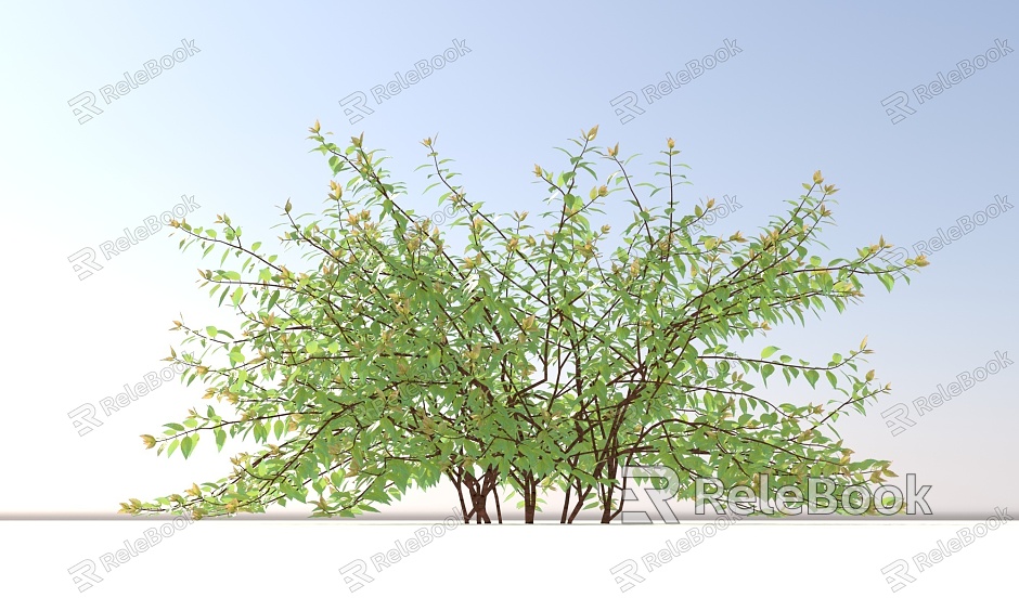 Landscape Trees and Shrubs model