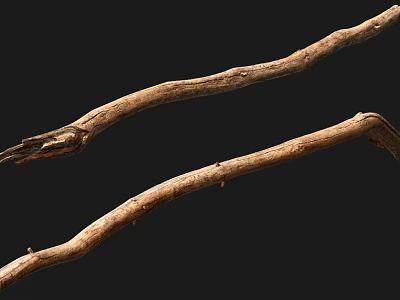 Two Rustic Brown Wood Branches With Textured Surface On Black Background 3d model