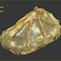 Red Octopus Model With Long Tentacles On Rock Base And Small Decorations