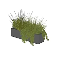 Bonsai Potted Plant in Black Rectangular Container with Various Green Hanging Foliage 3d model