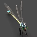 modern dragonfly 3d model