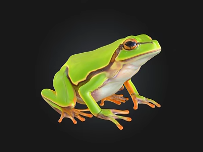 Vibrant Green Frog With Distinct Color Patterns Sitting On Black Background 3d model
