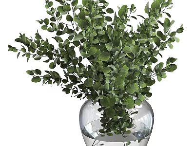Transparent Glass Vase With Fresh Green Leafy Plants And Water Inside 3d model