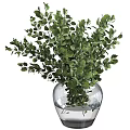 Transparent Glass Vase With Fresh Green Leafy Plants And Water Inside