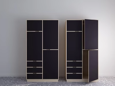Modern Wardrobe Storage Design With Black Cabinets Drawers And Open Doors 3d model