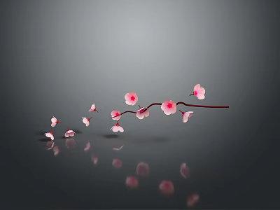 Elegant Curved Branch With Multiple Pink Flowers And Water Reflection On Gray Background 3d model