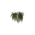 Decorative Ornament Set of Hanging Green Ferns with Lush Fronds for Indoor Decor