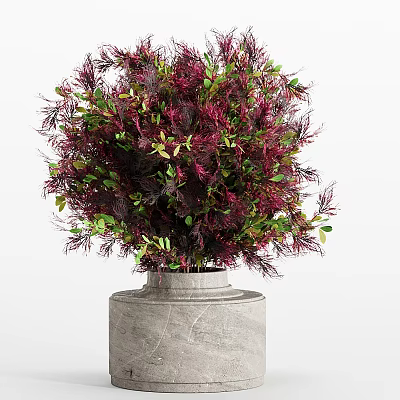 Bonsai Plant With Red And Green Leaves In Gray Stone Pot 3d model