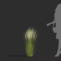 Ornamental Grass Plant With White Plumes Next To Female Silhouette In Gray Background