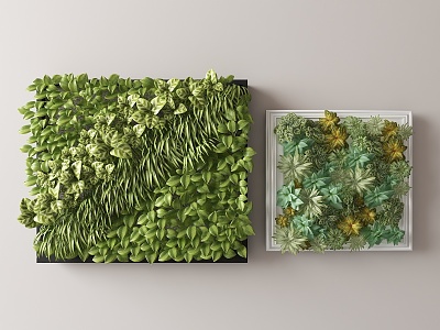 Modern Plant Wall Vine model