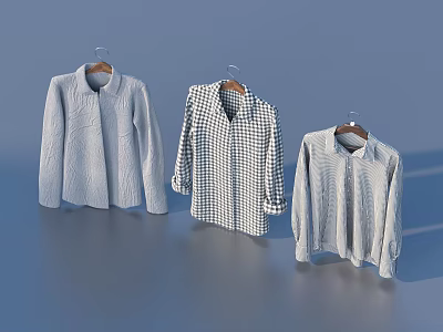 Three Stylish Clothes Hanging On Wooden Hangers With Unique Designs 3d model
