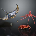 Colorful Marine Animals Including Manta Ray Octopus and Crab in Underwater