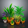 Indoor Potted Plants With Green Foliage Purple Flowers And Colorful Pots For Home Decor