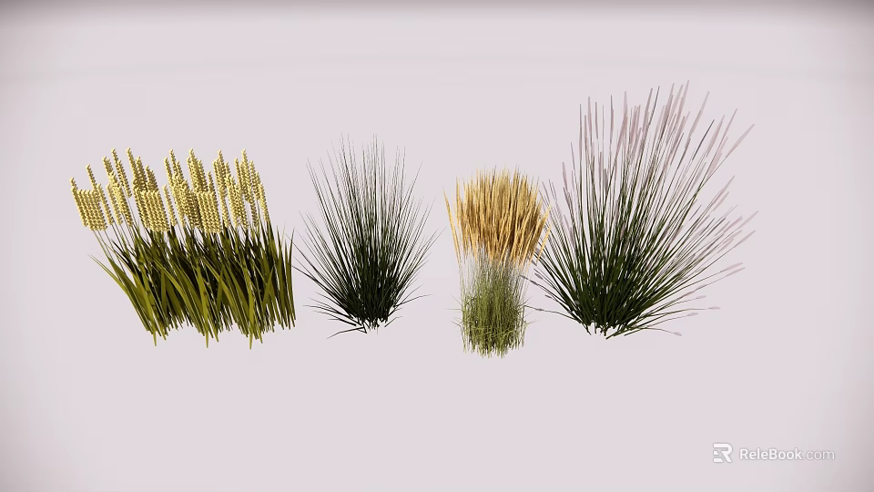 Garden Landscape Design With Various Ornamental Grasses in Green and Golden 3d model 