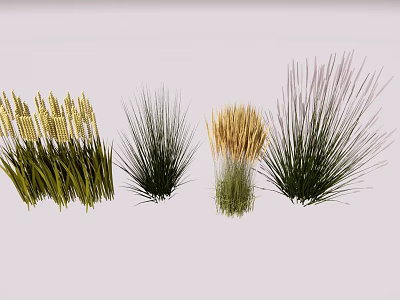 Garden Landscape Design With Various Ornamental Grasses in Green and Golden 3d model