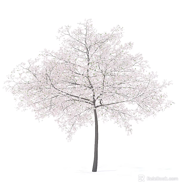 Blooming Arbor With Pink Blossoms And Slender Dark Trunk On White Background 3d model 