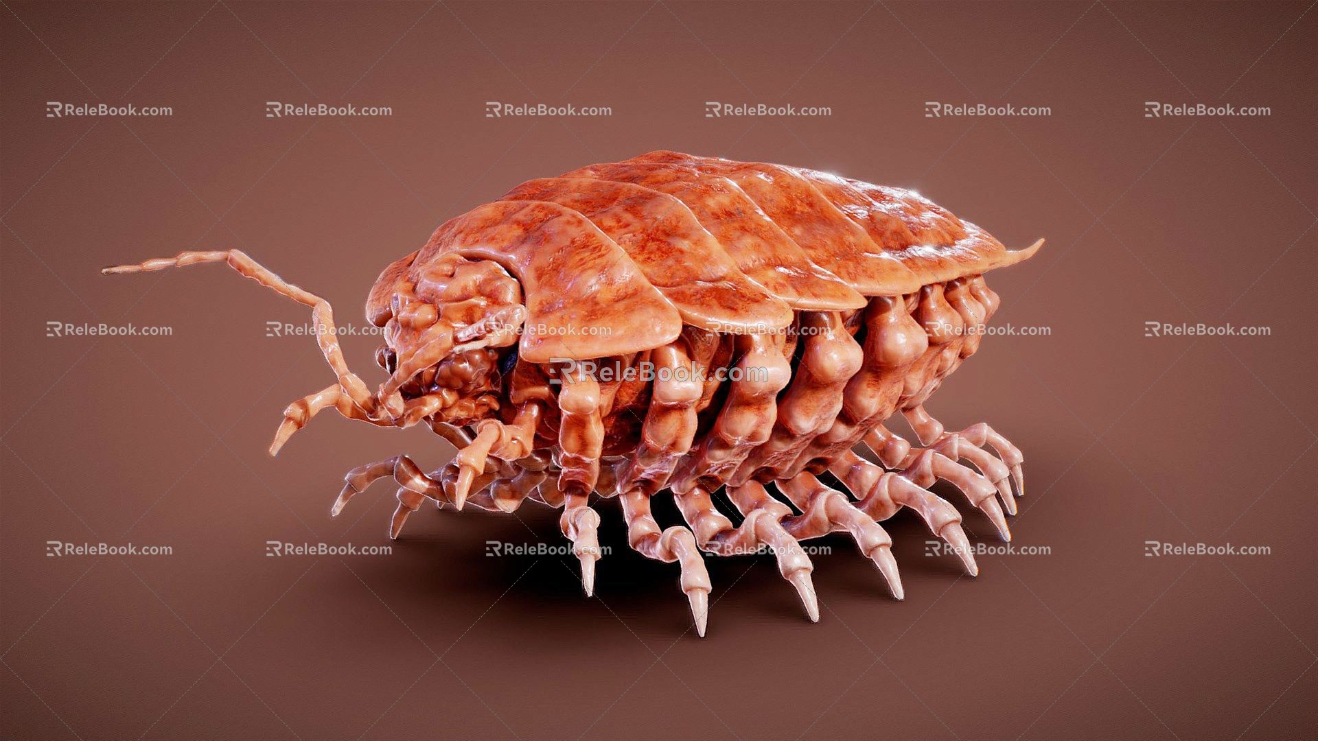 Modern insect beetle 3d model