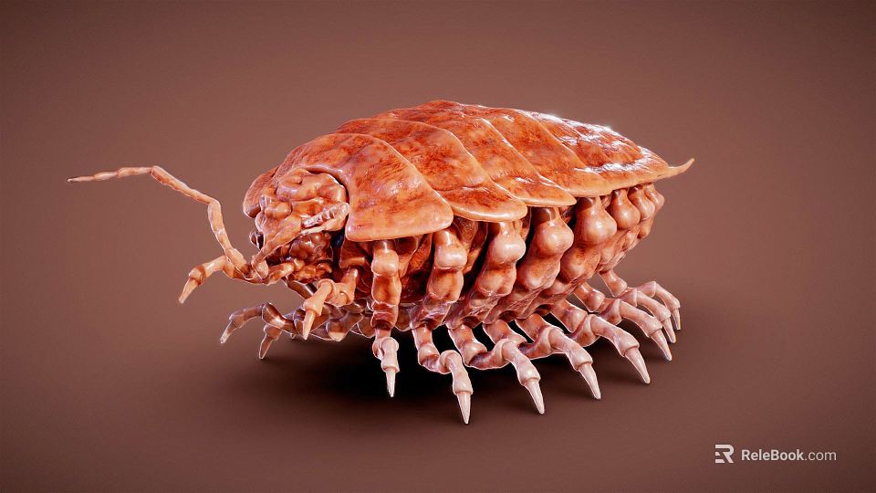 Reptile 3D Model With Detailed Brown Scaled Body Multiple Legs And Realistic Texture 3d model 