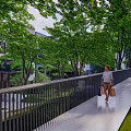 Garden Landscape Design With Lush Green Trees Stone Steps And People Resting