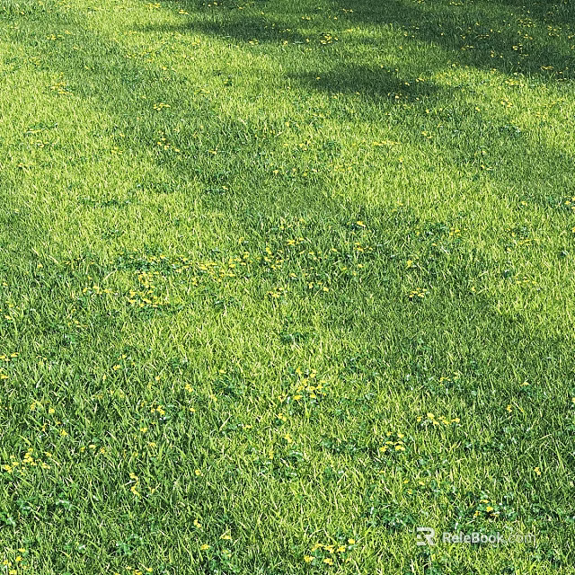 Natural Green Grass Decorative Ornament Set With Yellow Flowers And Sunlight Shadow 3d model 