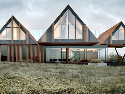 Modern Single Family House With Triangular Roof Large Glass Windows And Grassland Surroundings 3d model