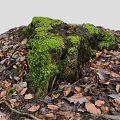 Stone and Wooden Log Covered with Green Moss Surrounded by Brown Fallen Leaves