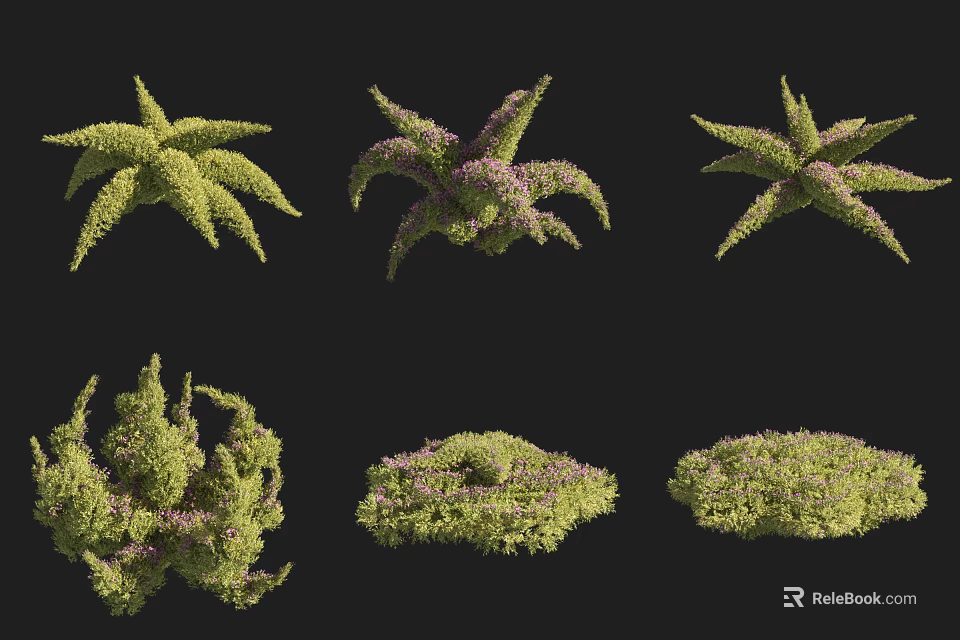 Different Types of Garden Shrubs With Various Shapes and Green Purple Foliage 3d model 