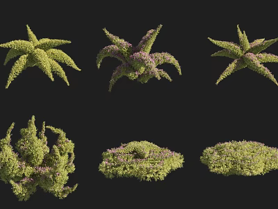 Different Types of Garden Shrubs With Various Shapes and Green Purple Foliage 3d model