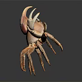 Orange Pink Crab With Large Claws Isolated On Dark Background Front View 3d model