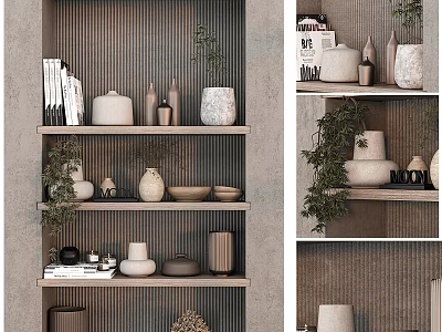 Minimalist Decorative Cabinet Design With Shelves Vases Plants And Books 3d model